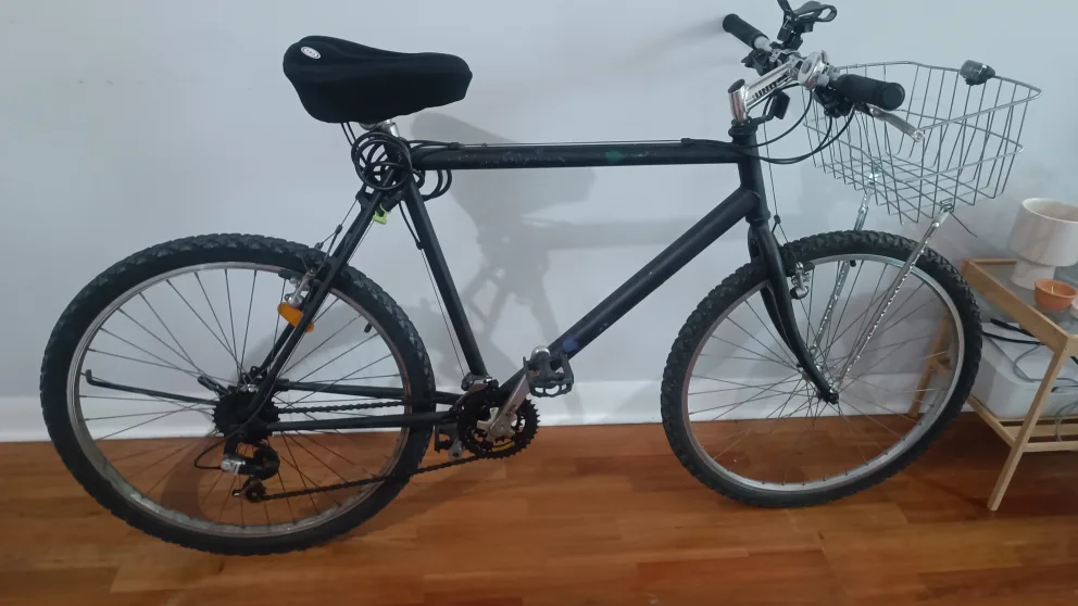 Black Mountain Bike with Basket and Seat Cover image indicator(5)