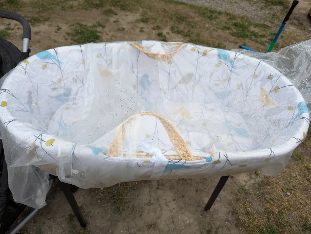 Baby Moses bassinet thumbnail
