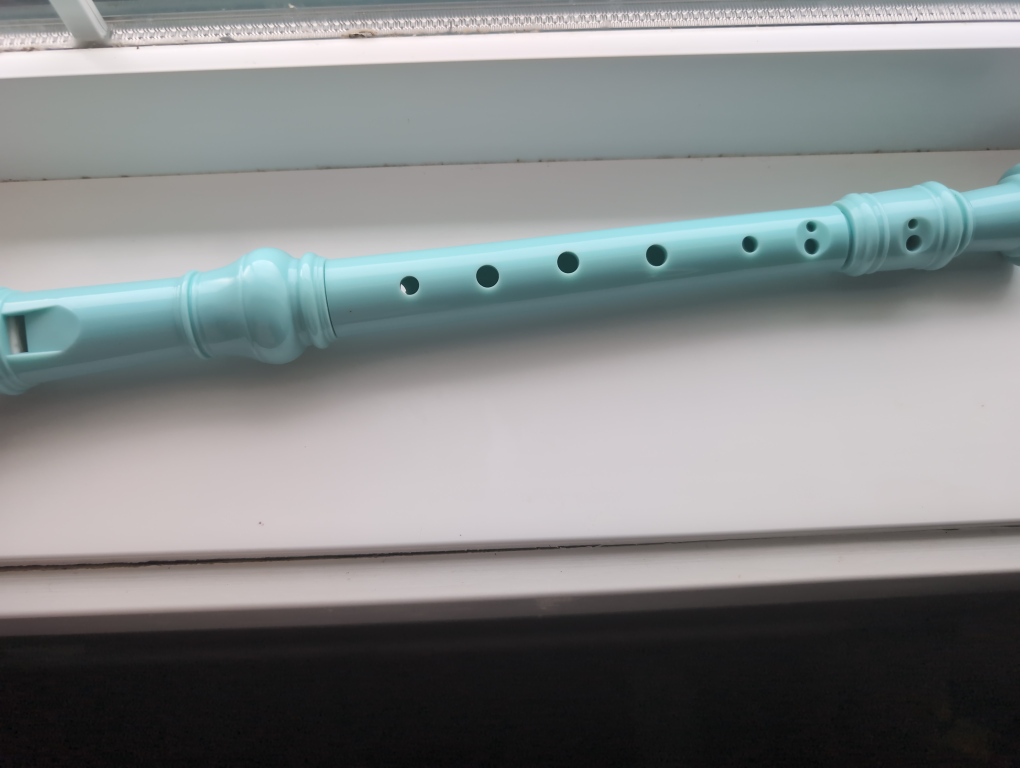 Teal Recorder with Case