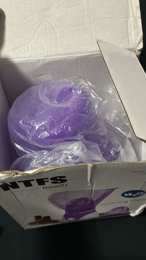NTFS Facial Steamer - photo 4