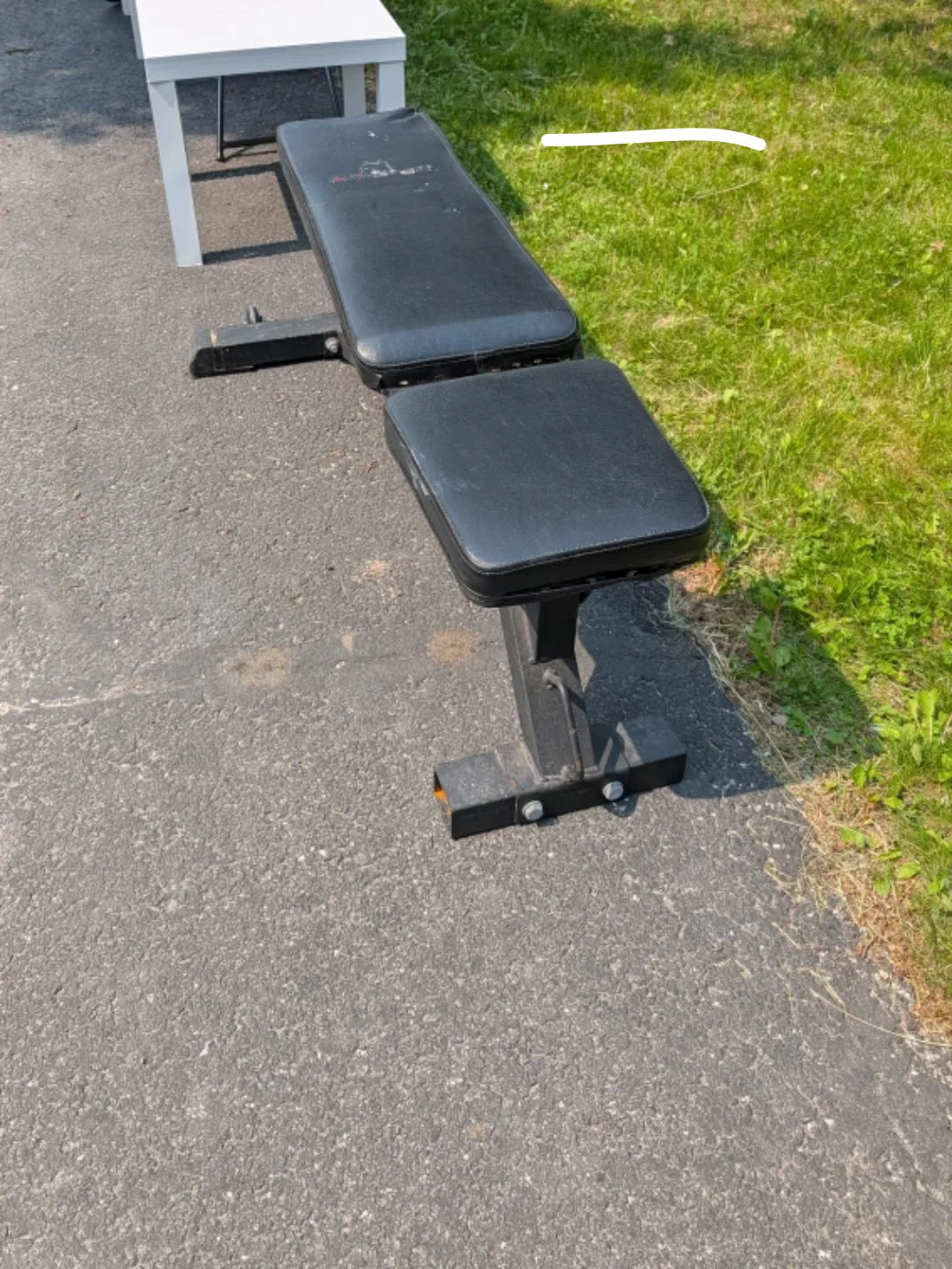 💚Adjustable Weight workout Bench🥕 image indicator(2)