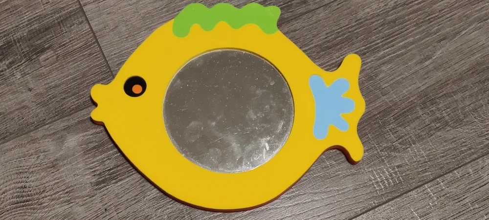 Fish Shaped Mirror bath toy thumbnail