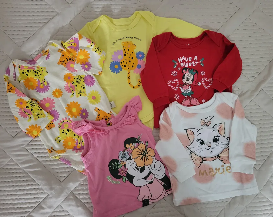 Baby Clothes Bundle 🥕 image indicator(3)