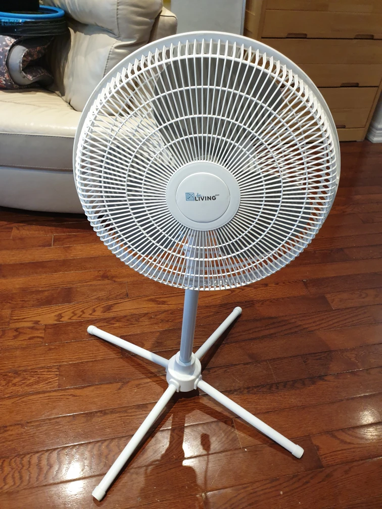 Pedestal Fan