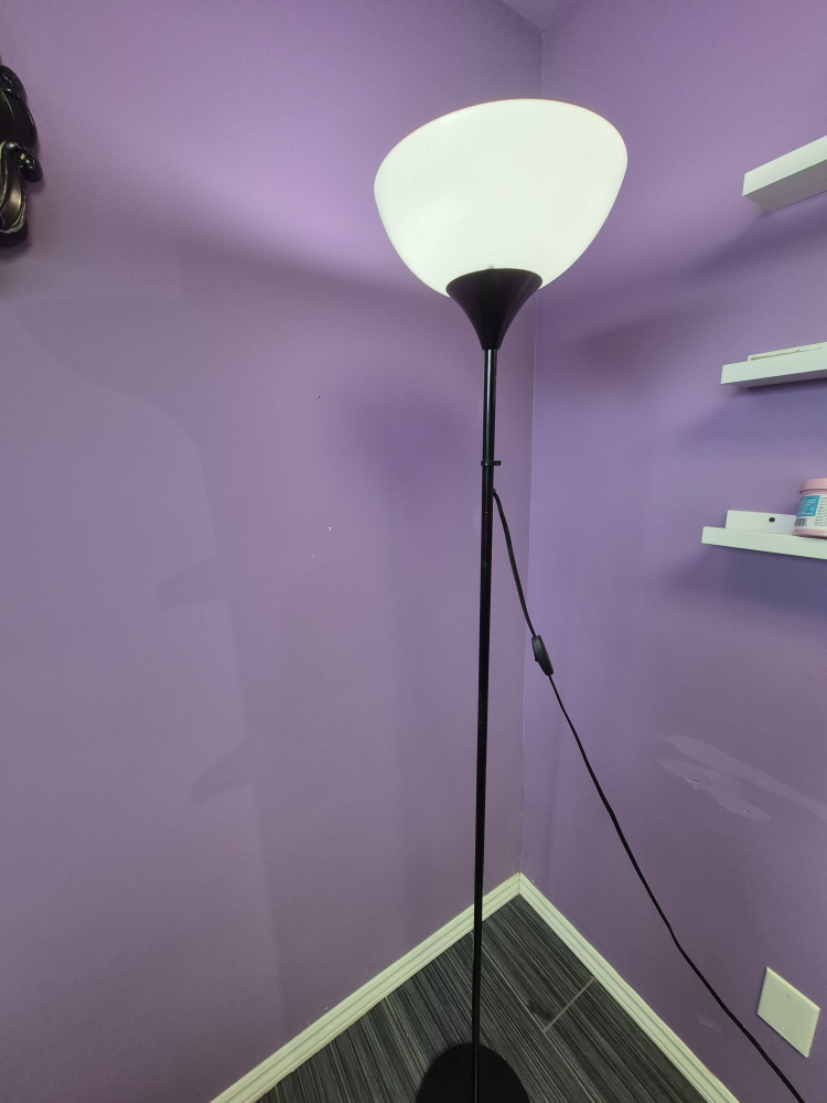 Modern Black Floor Lamp - photo 2