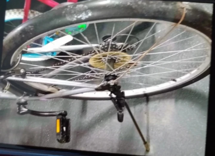 Supercycle Hybrid Bicycle - photo 3