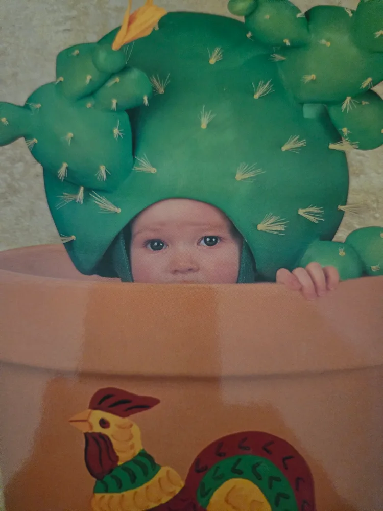 Cactus Baby Photo in Pot image indicator(2)