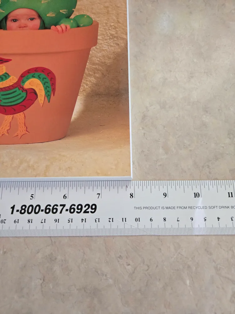 Cactus Baby Photo in Pot image indicator(4)