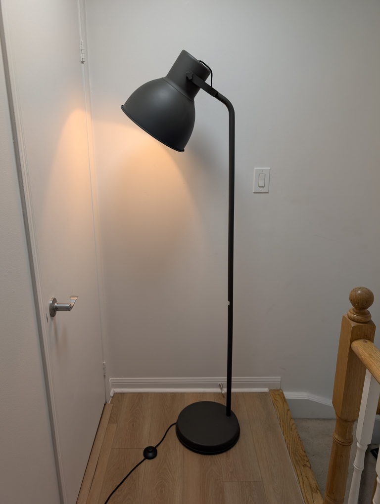Floor Lamp - Black Shade 🥕