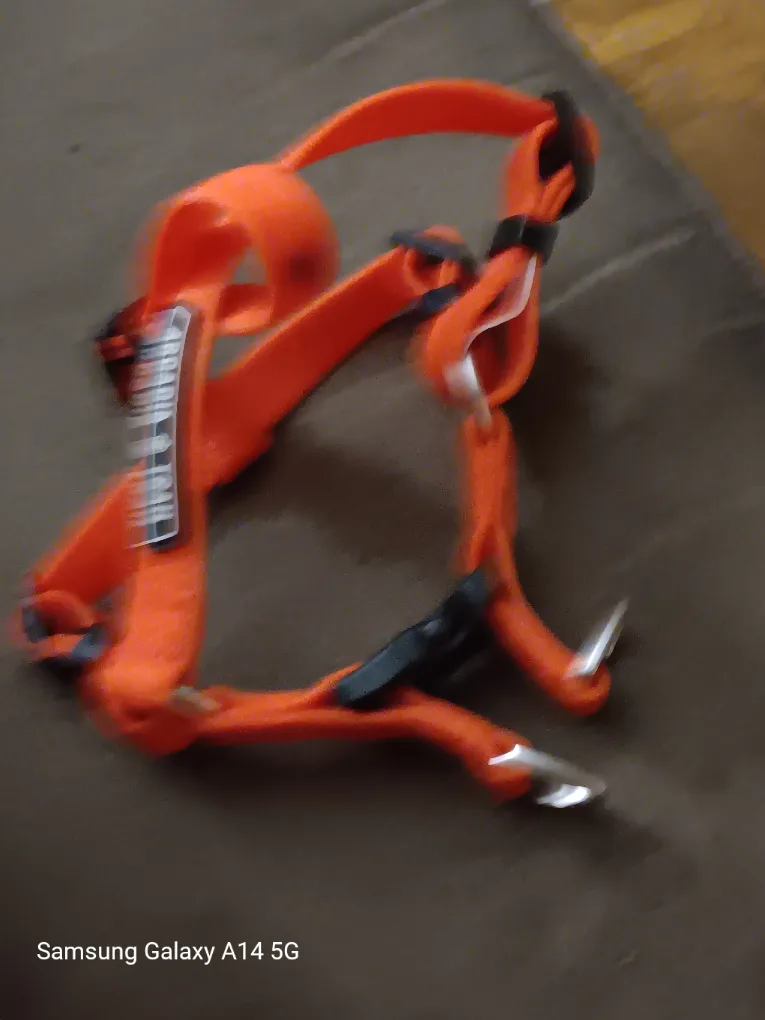 Arcadia Trail Orange Dog Harness thumbnail