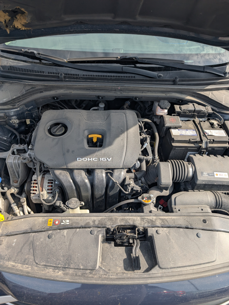 Hyundai Elantra GLS 2017 - photo 4