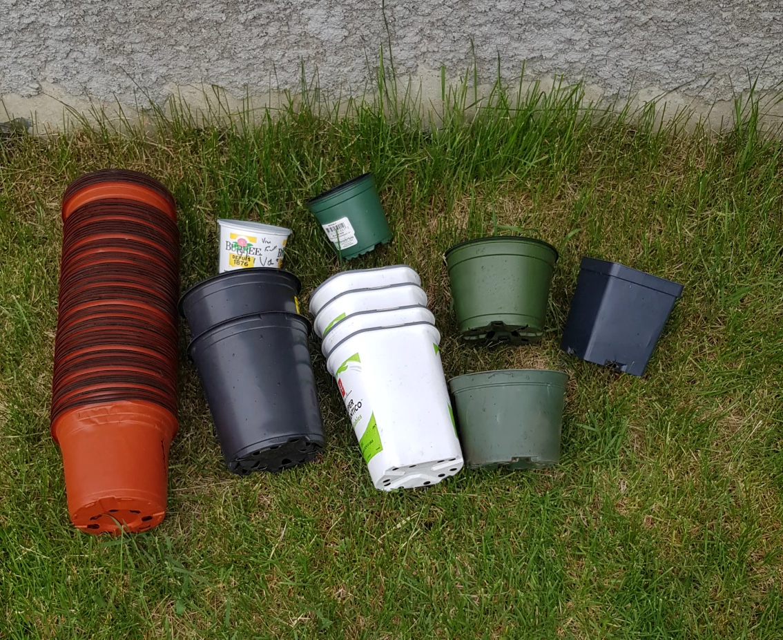 nursery pots used 🥕
