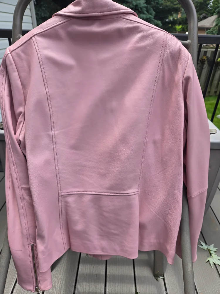 Danier Pink Leather Jacket image indicator(2)