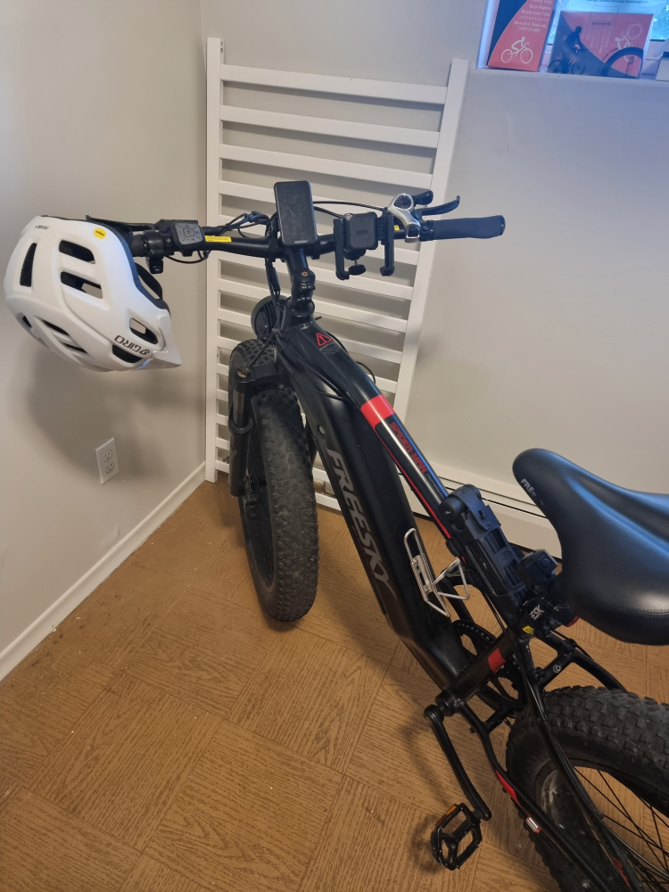 FREESKY Electric Mountain Bike - Black, 26 inch