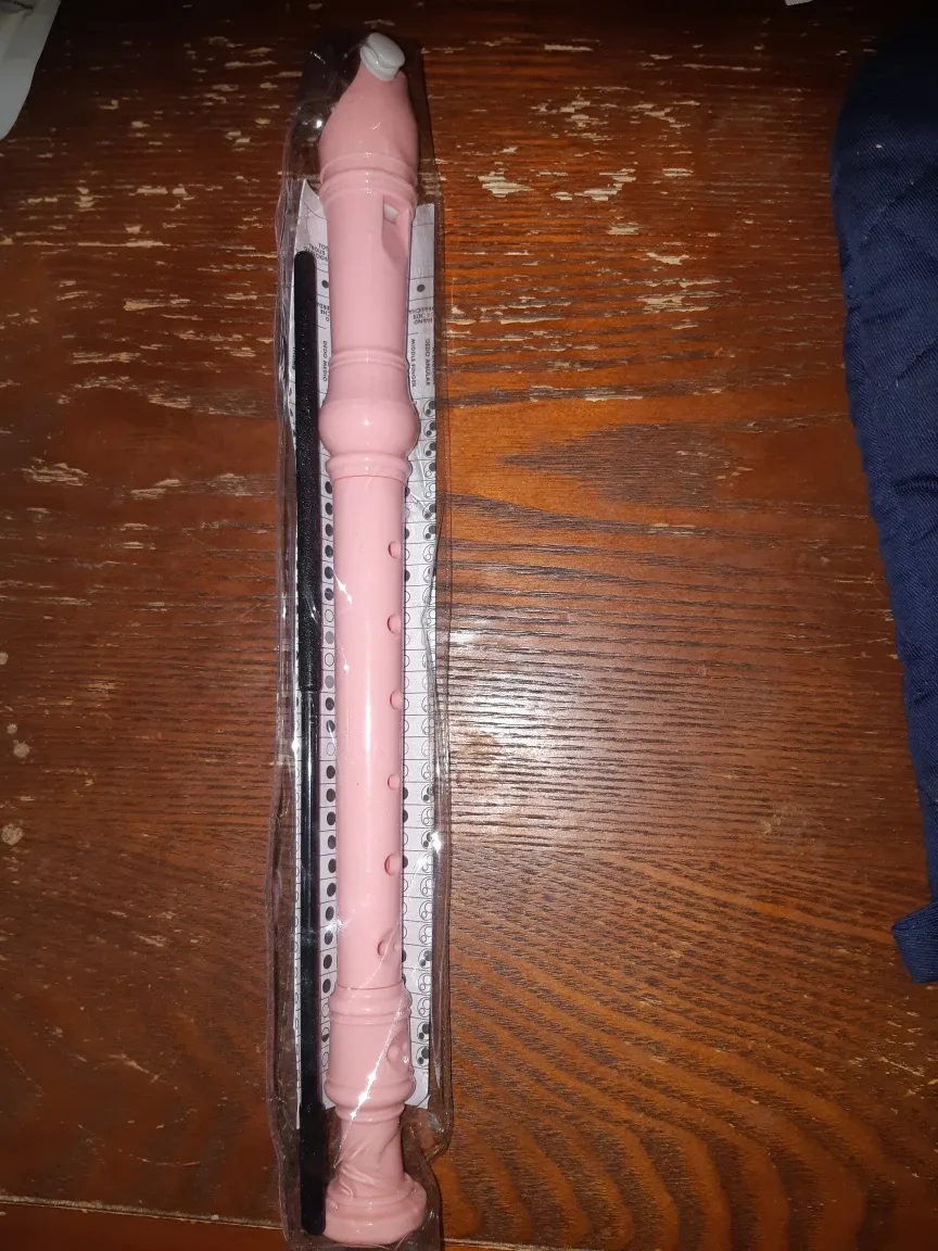 Pink Recorder Flute BN #freecycle thumbnail