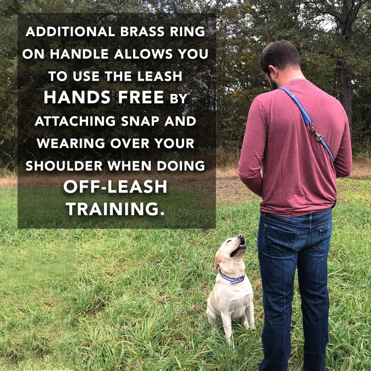 Reflective Collar and Leash Set - Size S image indicator(10)