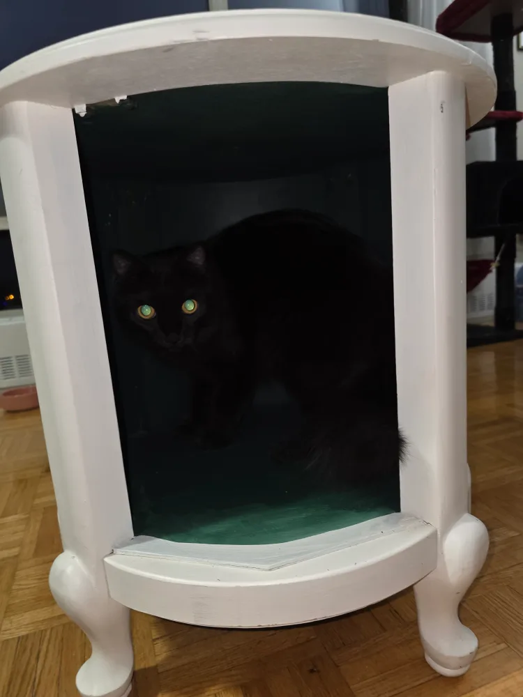 Cat Hideaway Table image indicator(6)