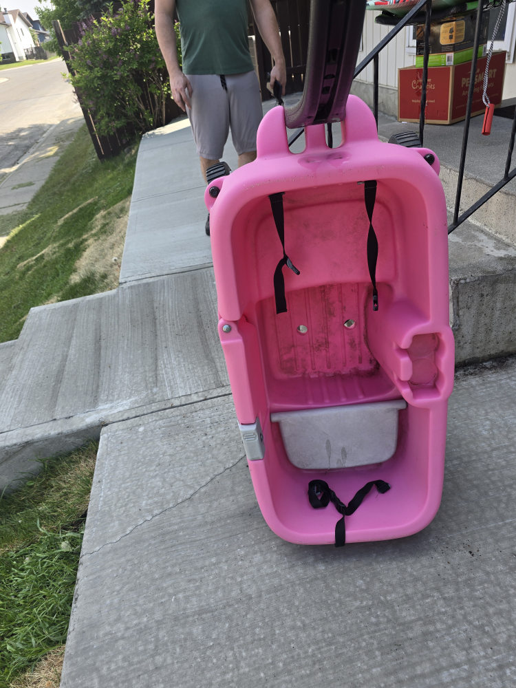 Pink Toddler Wagon - photo 3