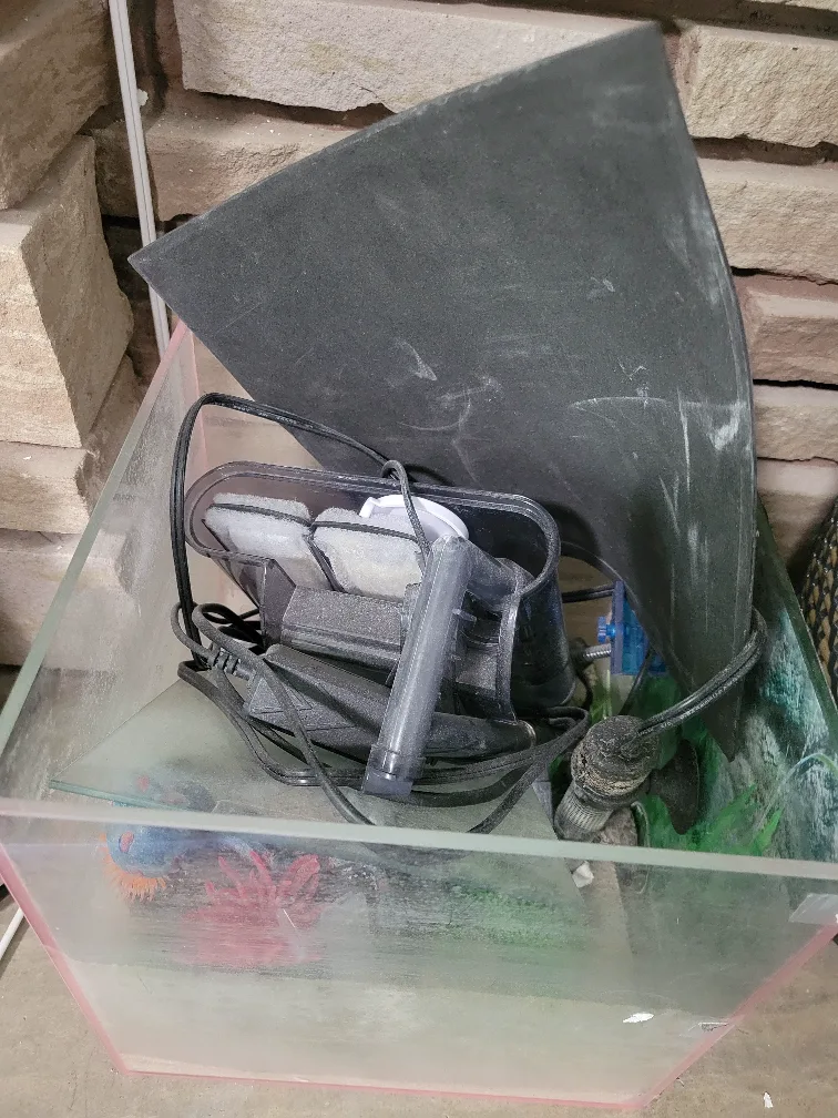 Used Fish Tank with Filter and Accessories image indicator(2)