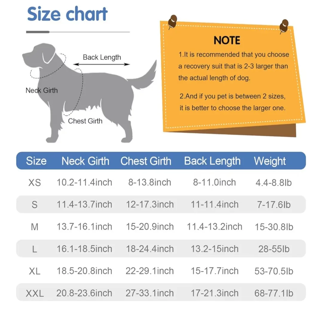 Dog recovery suit - Size L image indicator(3)