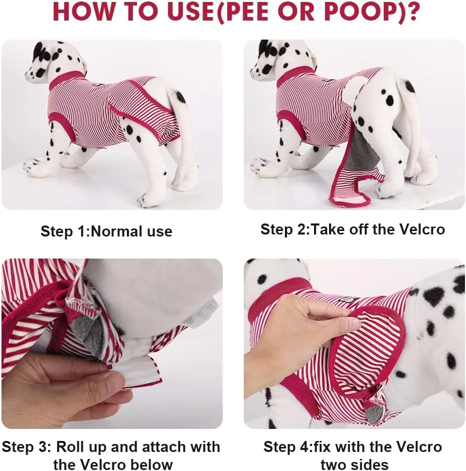 Dog recovery suit - Size L image indicator(5)