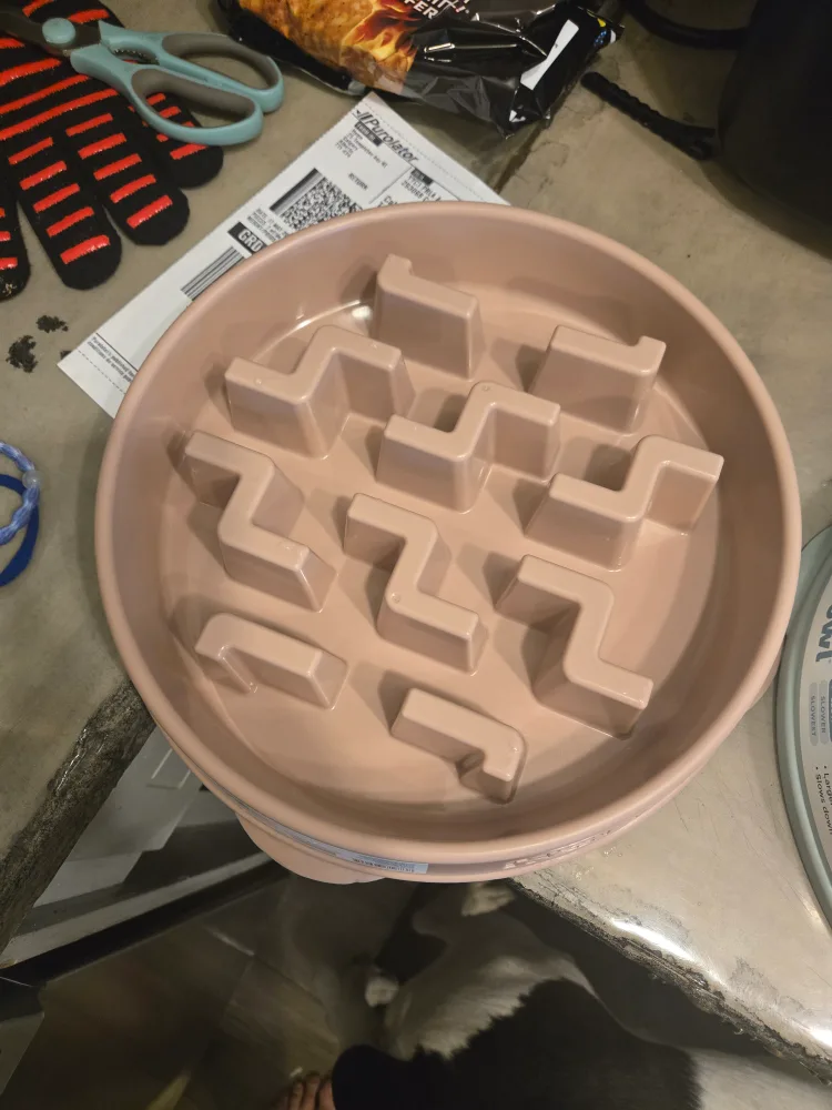 2xOutward Hound Slow Feeder Bowl thumbnail