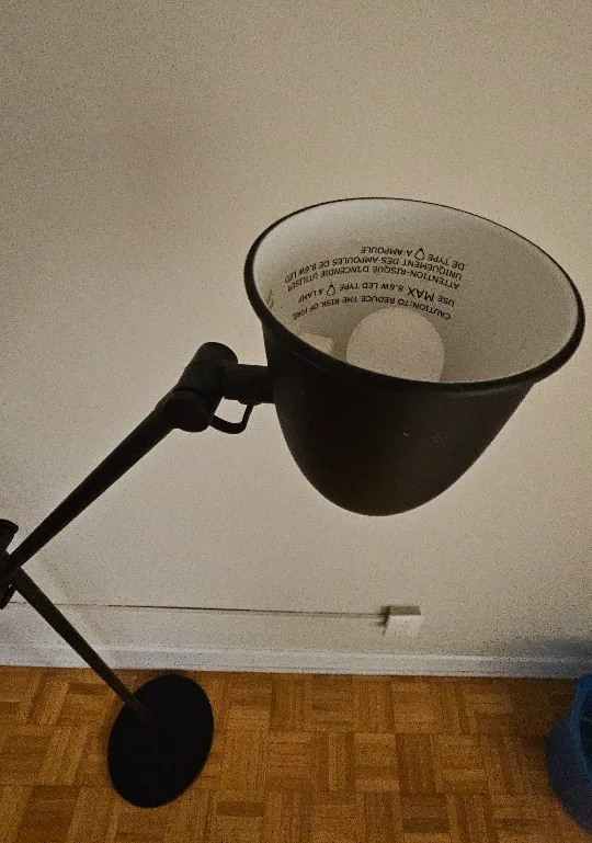 Adjustable Floor Lamp and Bulb thumbnail