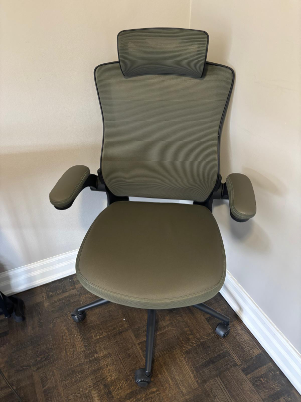 Ergonomic Office Chair