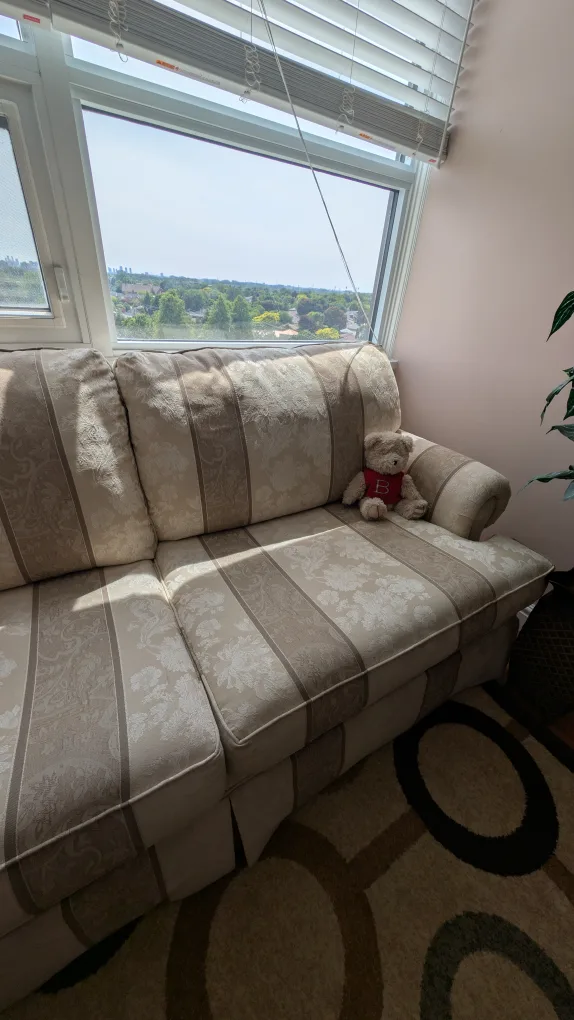 Comfy Patterned Couch (like new) image indicator(2)