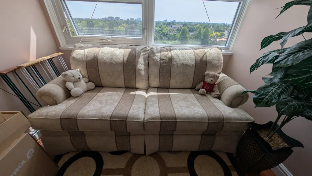 Comfy Patterned Couch (like new) image indicator(3)