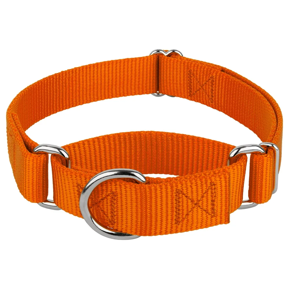 Orange Dog Collar - No Buckle - Size M thumbnail