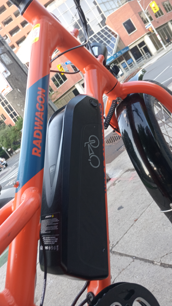 Radwagon 4 -The Ultimate Cargo Hauler Electric Bike - photo 4
