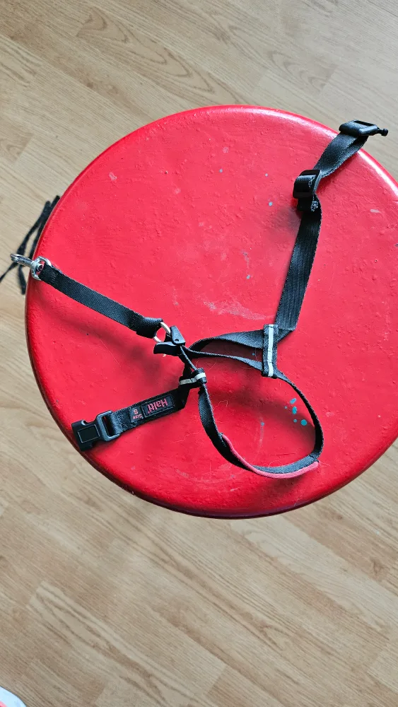 Halti Dog Headcollar, Black, Size S image indicator(2)