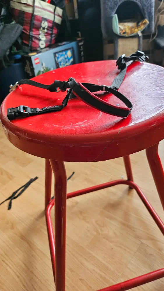 Halti Dog Headcollar, Black, Size S image indicator(3)