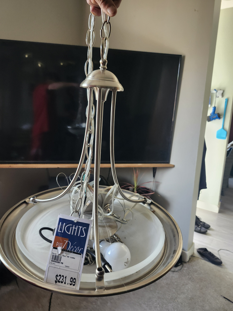 Lights Plus Décor Ceiling Light Fixture