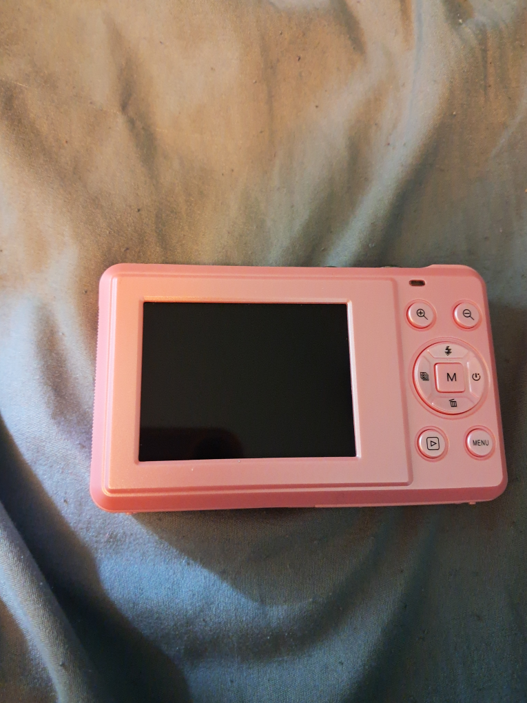 Pink Digital Camera