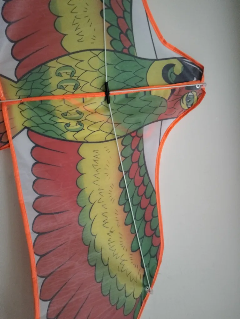 Parrot Kite - Fun Outdoor Toy image indicator(2)