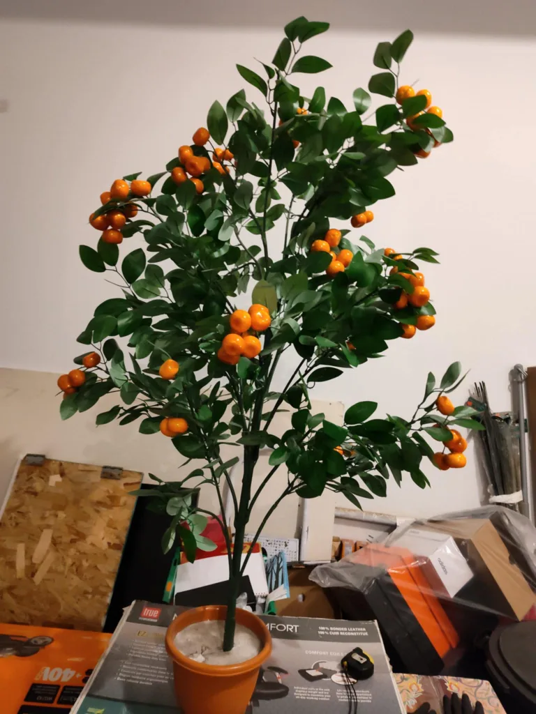 Decorative Orange Tree thumbnail