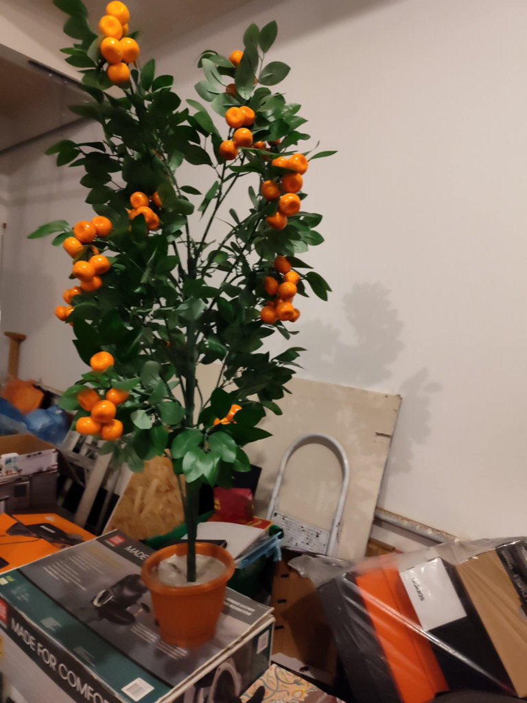 Decorative Orange Tree - photo 2