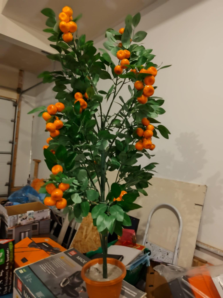 Decorative Orange Tree - photo 3
