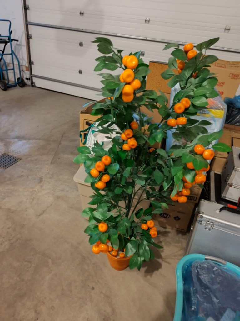 Decorative Orange Tree - photo 4