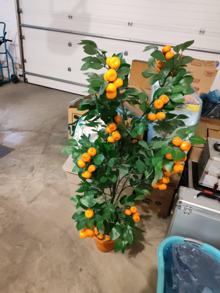 Decorative Orange Tree - photo 5