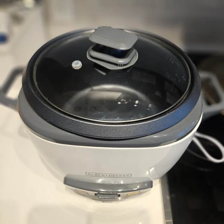 Black+Decker rice cooker 16cup image indicator(3)