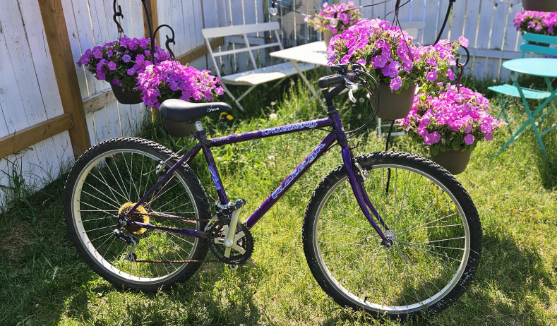 Mountain Bike