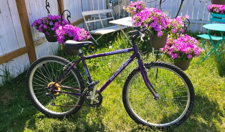 Mountain Bike thumbnail