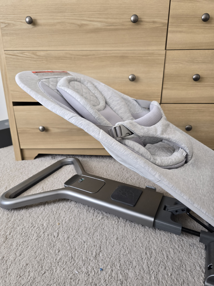 Ergobaby Baby Bouncer - photo 3