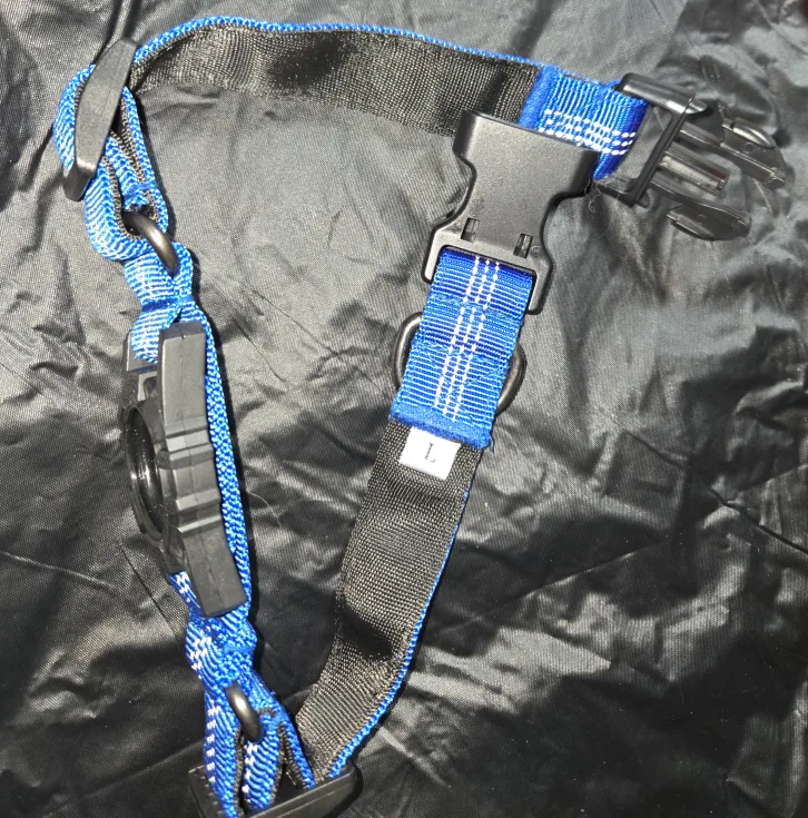 Dog Collar with AirTag Holder - Blue - Size L image indicator(5)