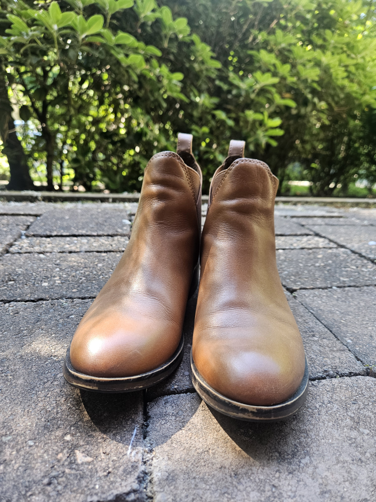 ALDO Ankle Boots