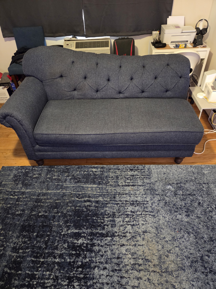 Blue Chaise Lounge - photo 2