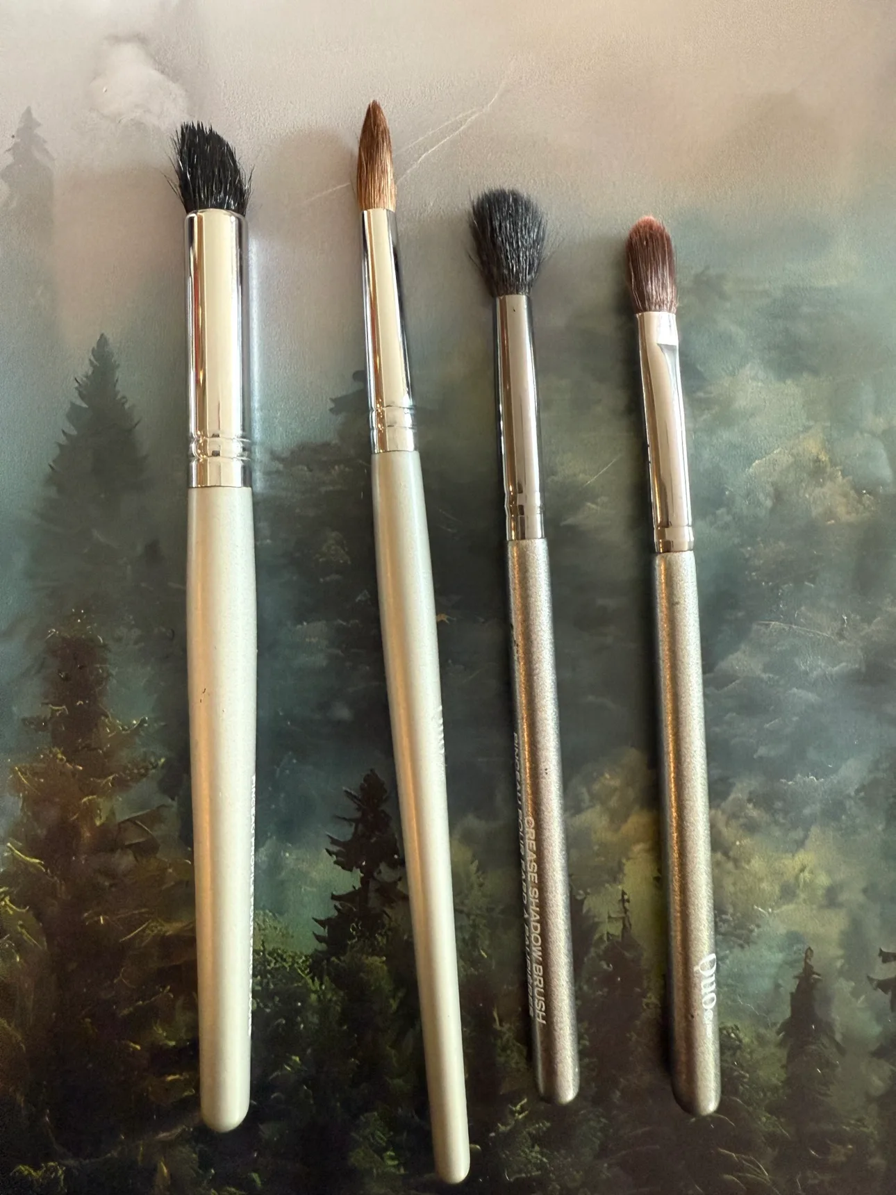 Makeup brushes thumbnail